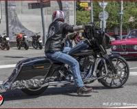 TSR Watermark - 0597